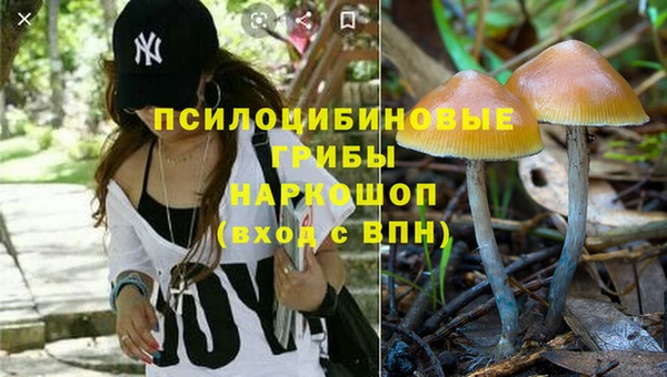 трава Абинск
