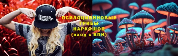 винт Абаза
