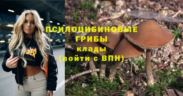 каннабис Алзамай