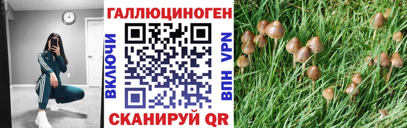 ссылка на мегу ССЫЛКА  где купить   Сокол  Галлюциногенные грибы Cubensis 